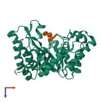 PDB entry 3cuj coloured by chain, top view.