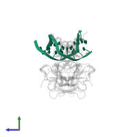 DNA (5'-D(*DCP*DGP*DGP*DGP*DCP*DAP*DTP*DGP*DCP*DCP*DCP*DG)-3') in PDB entry 3d0a, assembly 1, side view.