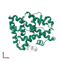 Steroid hormone receptor ERR1 in PDB entry 3d24, assembly 2, front view.