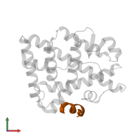 Peroxisome proliferator-activated receptor gamma coactivator 1-alpha in PDB entry 3d24, assembly 2, front view.