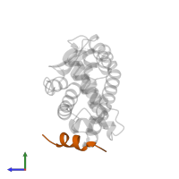 Peroxisome proliferator-activated receptor gamma coactivator 1-alpha in PDB entry 3d24, assembly 2, side view.