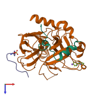 PDB entry 3d49 coloured by chain, top view.