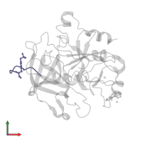 Hirudin variant-1 in PDB entry 3d49, assembly 1, front view.