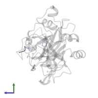 Hirudin variant-1 in PDB entry 3d49, assembly 1, side view.