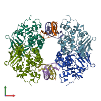 PDB entry 3d4v coloured by chain, front view.