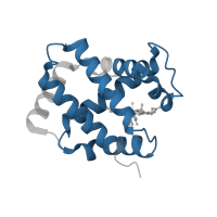 The deposited structure of PDB entry 3d4x contains 2 copies of Pfam domain PF00042 (Globin) in Hemoglobin subunit alpha. Showing 1 copy in chain A.