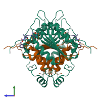 Hetero hexameric assembly 1 of PDB entry 3d6f coloured by chemically distinct molecules, side view.