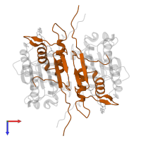 Caspase-1 subunit p10 in PDB entry 3d6f, assembly 1, top view.