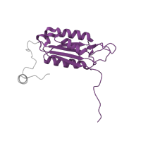 The deposited structure of PDB entry 3d6h contains 1 copy of Pfam domain PF00656 (Caspase domain) in Caspase-1 subunit p20. Showing 1 copy in chain A.