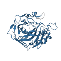 The deposited structure of PDB entry 3d93 contains 1 copy of Pfam domain PF00194 (Eukaryotic-type carbonic anhydrase) in Carbonic anhydrase 2. Showing 1 copy in chain A.