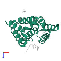 SR-related and CTD-associated factor 8 in PDB entry 3d9k, assembly 2, top view.