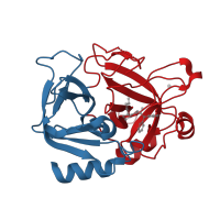 The deposited structure of PDB entry 3da9 contains 2 copies of CATH domain 2.40.10.10 (Thrombin, subunit H) in Thrombin heavy chain. Showing 2 copies in chain B.