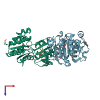 PDB entry 3dao coloured by chain, top view.