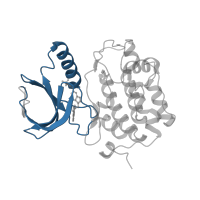 The deposited structure of PDB entry 3db6 contains 1 copy of CATH domain 3.30.200.20 (Phosphorylase Kinase; domain 1) in Serine/threonine-protein kinase PLK. Showing 1 copy in chain A.