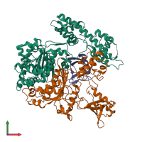 Hetero trimeric assembly 3 of PDB entry 3dbr coloured by chemically distinct molecules, front view.
