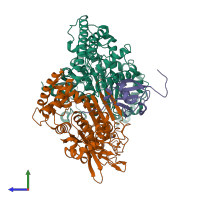 Hetero trimeric assembly 4 of PDB entry 3dbr coloured by chemically distinct molecules, side view.