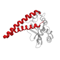 The deposited structure of PDB entry 3dc5 contains 2 copies of CATH domain 1.10.287.990 (Helix Hairpins) in Superoxide dismutase [Mn] 2, mitochondrial. Showing 1 copy in chain B [auth C].