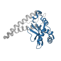 The deposited structure of PDB entry 3dc5 contains 2 copies of CATH domain 3.55.40.20 (minor pseudopilin epsh fold) in Superoxide dismutase [Mn] 2, mitochondrial. Showing 1 copy in chain B [auth C].