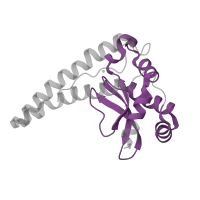 The deposited structure of PDB entry 3dc5 contains 2 copies of Pfam domain PF02777 (Iron/manganese superoxide dismutases, C-terminal domain) in Superoxide dismutase [Mn] 2, mitochondrial. Showing 1 copy in chain B [auth C].