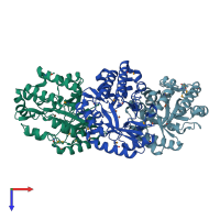 PDB entry 3dcp coloured by chain, top view.