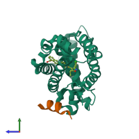 PDB entry 3dcu coloured by chain, side view.