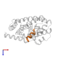 Nuclear receptor coactivator 1 in PDB entry 3dcu, assembly 1, top view.