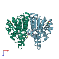 PDB entry 3dd3 coloured by chain, top view.