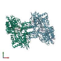 PDB entry 3dds coloured by chain, front view.