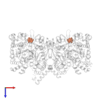 CAFFEINE in PDB entry 3dds, assembly 1, top view.