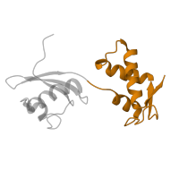 The deposited structure of PDB entry 3deg contains 1 copy of SCOP domain 46907 (Ribosomal protein L11, C-terminal domain) in Large ribosomal subunit protein uL11. Showing 1 copy in chain K [auth H].