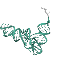 The deposited structure of PDB entry 3deg contains 1 copy of Rfam domain RF00005 (tRNA) in A/L-tRNA. Showing 1 copy in chain A.