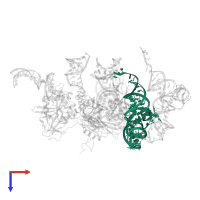 A/L-tRNA in PDB entry 3deg, assembly 1, top view.