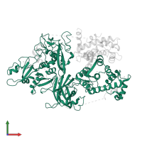 Calpain-2 catalytic subunit in PDB entry 3df0, assembly 1, front view.