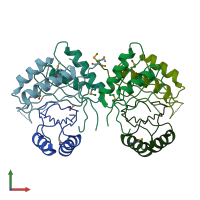 PDB entry 3dfe coloured by chain, front view.