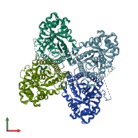 PDB entry 3dfn coloured by chain, front view.