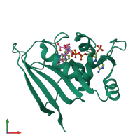 PDB entry 3dfr coloured by chain, front view.