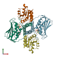 3D model of 3dge from PDBe