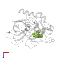 beta-phenyl-D-phenylalanyl-N-(3-chlorobenzyl)-L-prolinamide in PDB entry 3dhk, assembly 1, top view.