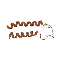 The deposited structure of PDB entry 3din contains 2 copies of Pfam domain PF03840 (Preprotein translocase SecG subunit) in Protein-export membrane protein SecG. Showing 1 copy in chain D [auth E].