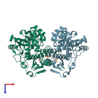 PDB entry 3dip coloured by chain, top view.