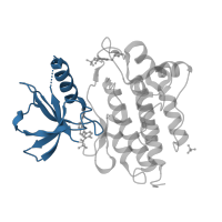 The deposited structure of PDB entry 3dk7 contains 2 copies of CATH domain 3.30.200.20 (Phosphorylase Kinase; domain 1) in Tyrosine-protein kinase ABL1. Showing 1 copy in chain B.