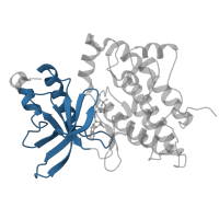 The deposited structure of PDB entry 3dkc contains 1 copy of CATH domain 3.30.200.20 (Phosphorylase Kinase; domain 1) in Hepatocyte growth factor receptor. Showing 1 copy in chain A.