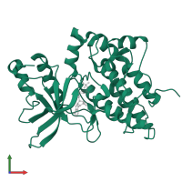 Hepatocyte growth factor receptor in PDB entry 3dkc, assembly 1, front view.