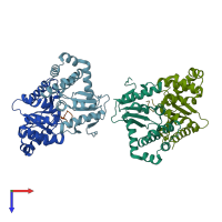 PDB entry 3dks coloured by chain, top view.