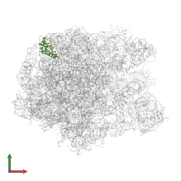 Large ribosomal subunit protein bL17 in PDB entry 3dll, assembly 1, front view.