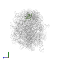 Large ribosomal subunit protein bL17 in PDB entry 3dll, assembly 1, side view.