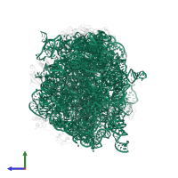 23S ribosomal RNA in PDB entry 3dll, assembly 1, side view.