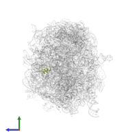 Large ribosomal subunit protein uL30 in PDB entry 3dll, assembly 1, side view.