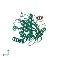 PDB entry 3dnd coloured by chain, side view.