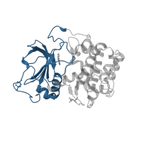 The deposited structure of PDB entry 3dne contains 1 copy of CATH domain 3.30.200.20 (Phosphorylase Kinase; domain 1) in cAMP-dependent protein kinase catalytic subunit alpha. Showing 1 copy in chain A.